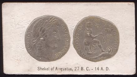 54 Shekel of Augustus